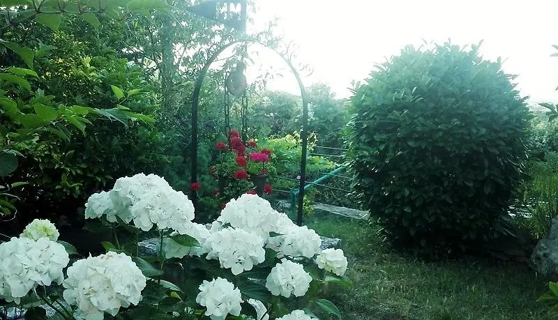 Guesthouse Sea View Pula